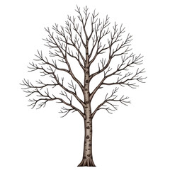 Obraz premium Bare_Tree_Winter_Tree_Illustration_Tree_Drawing