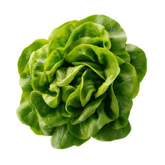 green lettuce isolated on white