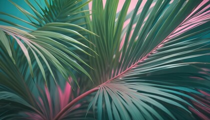 Obraz premium Close-up shot of palm leaves with a vibrant green color, set against a blurred background of teal and hints of pink