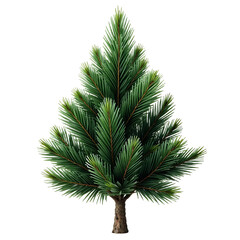 Christmas-Tree-Isolated-Pine-Tree-Winter-Holiday
