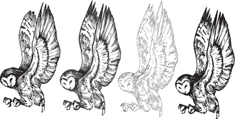 Obraz premium Set line drawings halloween clipart flying owl bird graphic black white contour sketch pen engraving style. Element for product design, print. Dark ink detailed cartoon style animal profile view 