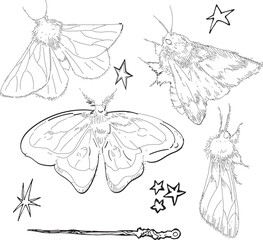 Magic Set Witch item Halloween Clip art Line drawing outline gothic moth dark butterfly contour Hand drawn illustration graphic design element Occult Symbol graphic animal bug Insect sketch ink grunge