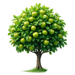 Green_Apple_Tree_Full_of_Apples_Orchard_Fruit_Tree