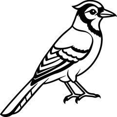 Blue Jay bird simple black line art image, Black bold outline vector icon, Bird vector illustration