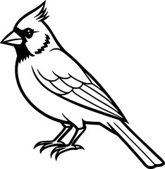 Cardinal bird simple black line art image, Black bold outline vector icon, Bird vector illustration