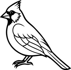 Obraz premium Cardinal bird simple black line art image, Black bold outline vector icon, Bird vector illustration