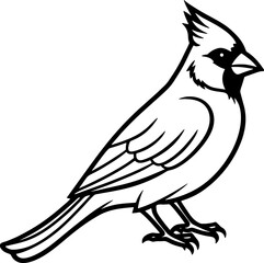 Obraz premium Cardinal bird simple black line art image, Black bold outline vector icon, Bird vector illustration