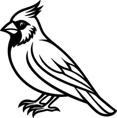 Cardinal bird simple black line art image, Black bold outline vector icon, Bird vector illustration