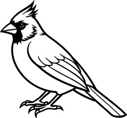 Cardinal bird simple black line art image, Black bold outline vector icon, Bird vector illustration