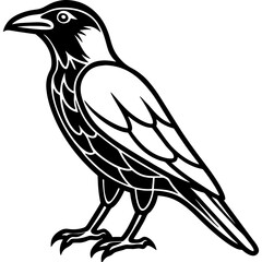 Crow bird simple black line art image, Black bold outline vector icon, Bird vector illustration