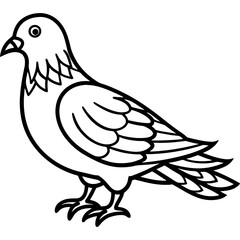  Dove bird simple black line art image, Black bold outline vector icon, Bird vector illustration
