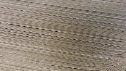 Plowed field from above