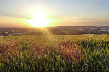 African countryside, Spring day landscape of fields, meadows and hills with mountains in the background and blue sky with clouds, Algerian and a lake in the Algerian countryside, rural Jijel Algeria.