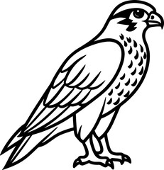 Falcon bird simple black line art image, Black bold outline vector icon, Bird vector illustration