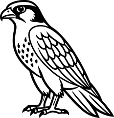 Falcon bird simple black line art image, Black bold outline vector icon, Bird vector illustration