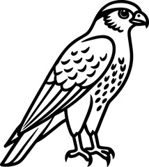 Fototapeta premium Falcon bird simple black line art image, Black bold outline vector icon, Bird vector illustration