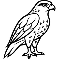 Hawk bird simple black line art image, Black bold outline vector icon, Bird vector illustration