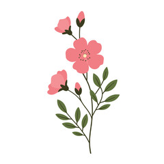 Naklejka premium Pink flowering branch with leaves on a white background 