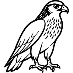 Fototapeta premium Hawk bird simple black line art image, Black bold outline vector icon, Bird vector illustration