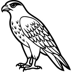 Hawk bird simple black line art image, Black bold outline vector icon, Bird vector illustration