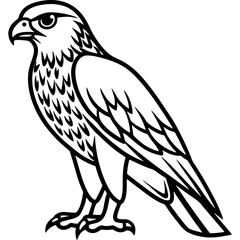 Hawk bird simple black line art image, Black bold outline vector icon, Bird vector illustration