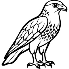 Obraz premium Hawk bird simple black line art image, Black bold outline vector icon, Bird vector illustration