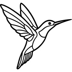 Hummingbird bird simple black line art image, Black bold outline vector icon, Bird vector illustration