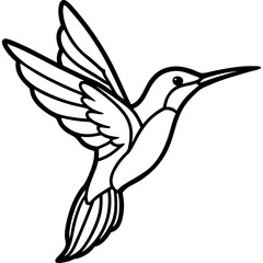Hummingbird bird simple black line art image, Black bold outline vector icon, Bird vector illustration