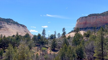 Two massive sandstone mountains with deep gap between, tall green pine trees filling valley below....