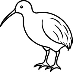  Kiwi bird simple black line art image, Black bold outline vector icon, Bird vector illustration