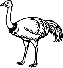 Obraz premium Ostrich bird simple black line art image, Black bold outline vector icon, Bird vector illustration