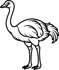 Ostrich bird simple black line art image, Black bold outline vector icon, Bird vector illustration