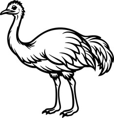 Ostrich bird simple black line art image, Black bold outline vector icon, Bird vector illustration