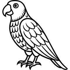 Parrot bird simple black line art image, Black bold outline vector icon, Bird vector illustration