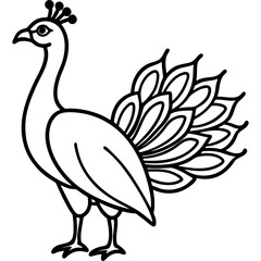 Peacock bird simple black line art image, Black bold outline vector icon, Bird vector illustration