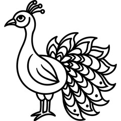 Peacock bird simple black line art image, Black bold outline vector icon, Bird vector illustration