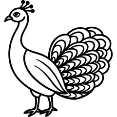 Peacock bird simple black line art image, Black bold outline vector icon, Bird vector illustration