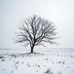 Fototapeta premium Solitary Winter Tree Standing in a Snowy Field on a Foggy Day