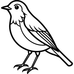 Robin bird simple black line art image, Black bold outline vector icon, Bird vector illustration