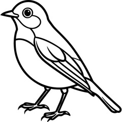 Robin bird simple black line art image, Black bold outline vector icon, Bird vector illustration