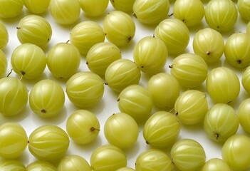 gooseberry isolated on white background