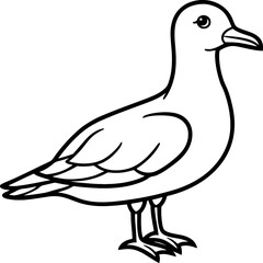 Seagull bird simple black line art image, Black bold outline vector icon, Bird vector illustration