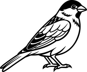 Sparrow bird simple black line art image, Black bold outline vector icon, Bird vector illustration