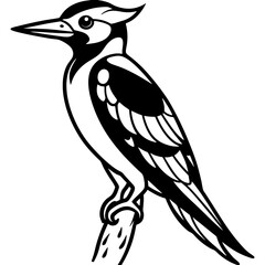 Woodpecker bird simple black line art image, Black bold outline vector icon, Bird vector illustration