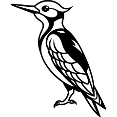 Woodpecker bird simple black line art image, Black bold outline vector icon, Bird vector illustration