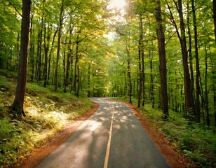 Obraz premium An overgrown forest trail, where the trees tower above, and the path is barely visible. The quiet of the forest surrounds the scene, creating an atmosphere of solitude.
