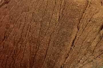 A close-up of a solid red texture found in Madeira, showcasing the rich and vibrant hues of the natural landscape.