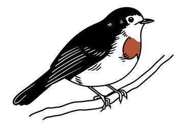 crow on a branch