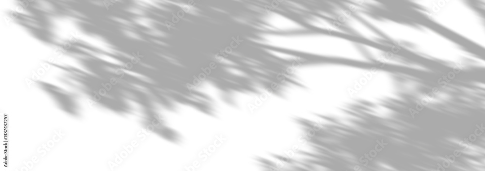 Aufkleber shadow shade tree branch serenity movement cut out backgrounds 3d rendering png