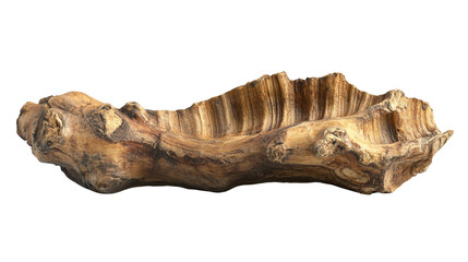 A ginger root with detailed ridges and skin texture, isolated on a bright white background, capturing its natural beauty.